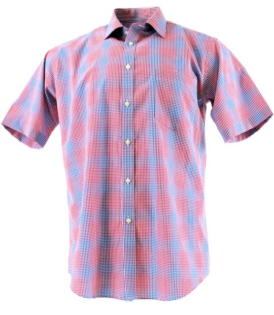 Peter England Blue & Red Check Short Sleeve Cotton Shirt - Peter England
